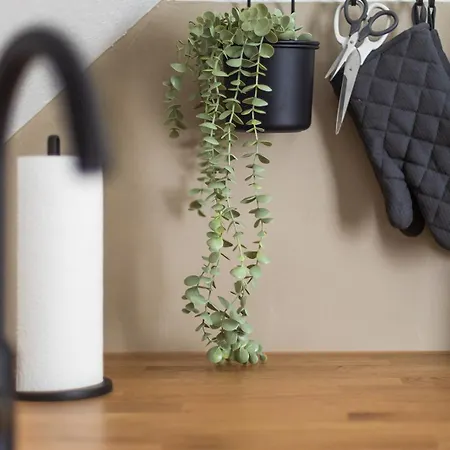 Apartament Soulplace Studioapartment *