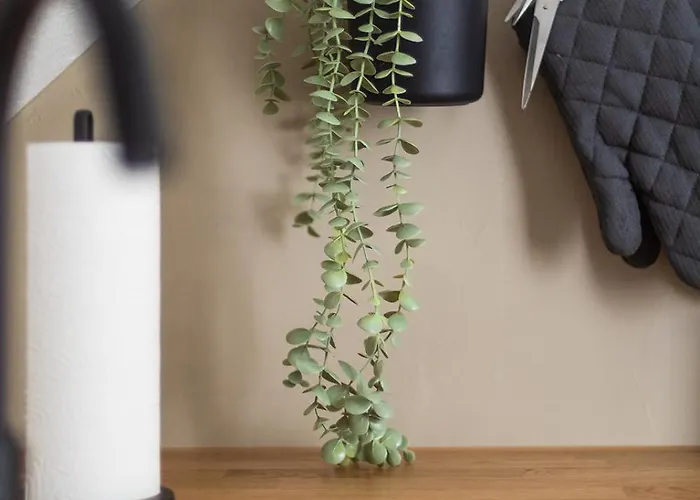 Apartment Soulplace Studioapartment *